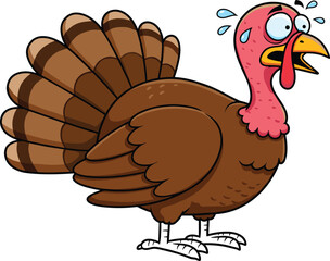 Funny cartoon turkey scared, thanksgiving panic, comical bird illustration, shocked poultry character, sweat drops, animal fear expression, humorous farm bird, animated style drawing