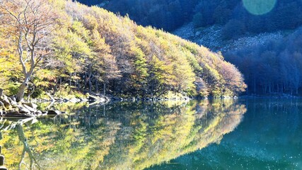 yellow beech trees in autumn and the crystal clear waters of Parma's holy lake