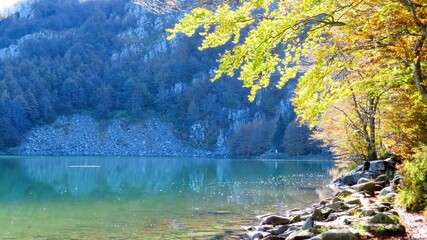 yellow beech trees in autumn and the crystal clear waters of Parma's holy lake