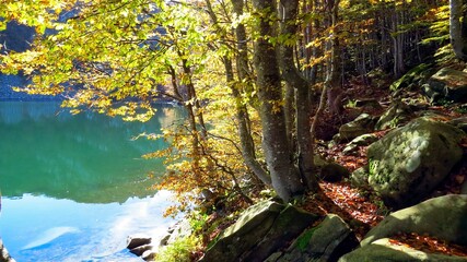 yellow beech trees in autumn and the crystal clear waters of Parma's holy lake