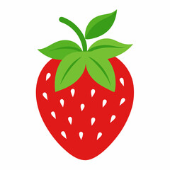 strawberry vector illustration