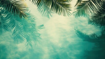 palm tree branches against blue sky