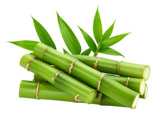 Fototapeta premium Transparent PNG of bamboo stalks with leaves, suitable for spa or eco themes.