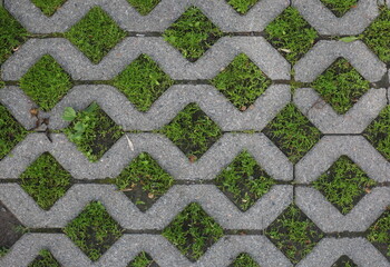 Grass grows through the concrete parking grate