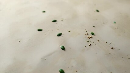 Lifting veggie chips and pumpkin seeds floating above studio tabletop, falling while crumbs scatter - Powered by Adobe