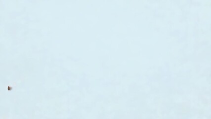 Catching light, gold and silver foil ribbons fluttering and shifting in studio, revealing backdrop - Powered by Adobe