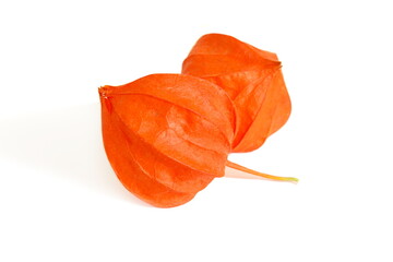 Two physalis berries lie on a white background.	