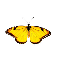 Fototapeta premium Beautiful yellow butterfly isolated on transparent background