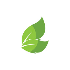 Green leaf logo icon