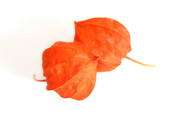 Two physalis berries lie on a white background.