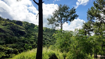 Obraz premium Nature hike in Fiji to Sleeping Giant