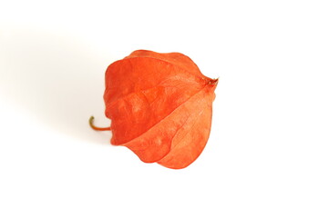 Physalis berry lies on a white background.	