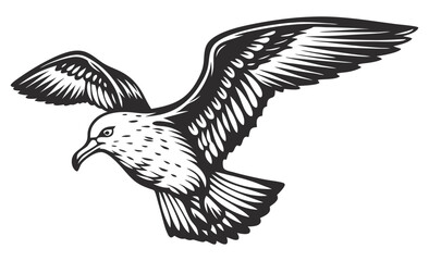 Obraz premium Vintage monochrome illustration of seagull soaring with outstretched wings, showcasing detailed feather patterns and capturing the essence of freedom and wildlife, ideal for nature inspired designs