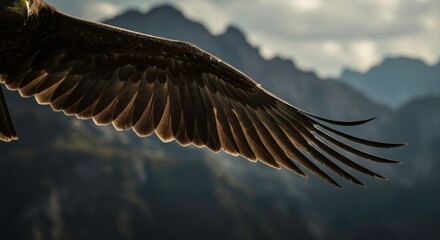 Dramatic close-up of a bird's wing in flight against a mountain backdrop