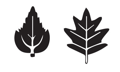 Leaves icons set