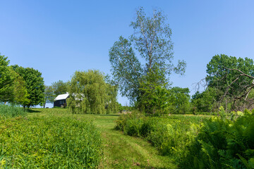 Obraz premium A beautiful property in a green landscape