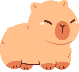 Cute Capybara