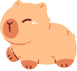 Cute Capybara