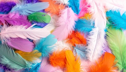 Obraz premium Vibrant mix of colorful feathers overlapping in a soft, organic pattern