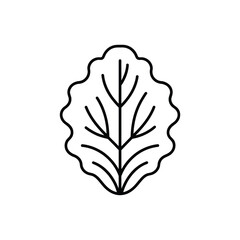 Simple line drawing of a single lettuce leaf