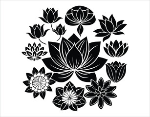 Fototapeta premium Spiritual Lotus Flower Collection