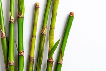 Green Bamboo Stalks on White Background