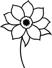 Anemone botanical flower black line drawing vector illustration