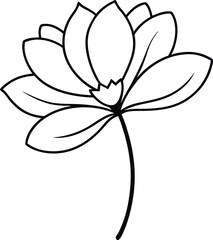Cosmos flower black line drawing vector illustration