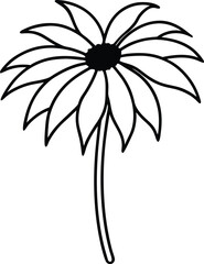 Echinacea flower head black line drawing vector illustration
