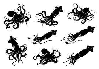 Fototapeta premium Vector collection of octopus and squid silhouettes isolated on white background