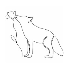 Obraz premium Single Line Art Fox Sniffing Flower Black White Minimalist