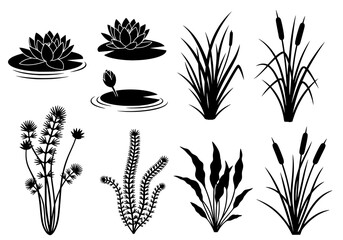 Vector isolated black silhouettes of various aquatic plants on white background