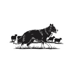 Border Collie Herding Sheep  Black and White Farm Animal Illustration