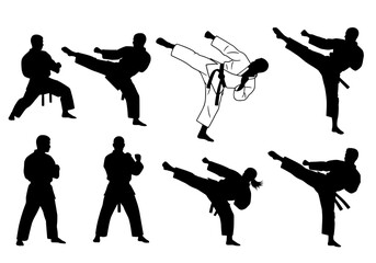 Vector silhouettes of karate athletes demonstrating various techniques isolated on white background