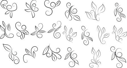 Collection of floral swirls and leaves elegant design elements