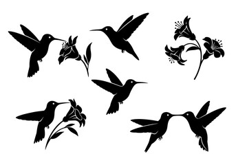 Obraz premium Vector silhouettes of hummingbirds and lilies isolated on white background