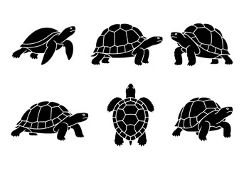 Vector various turtle and tortoise silhouettes isolated on white background