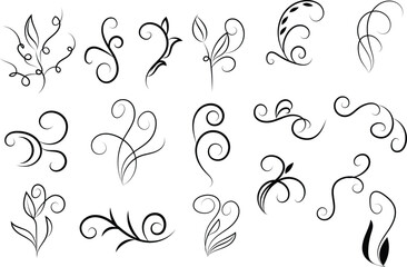 Collection of decorative floral swirls and flourishes in black line