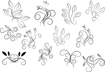 Elegant Floral Swirls and Flourishes Black Line Art on White
