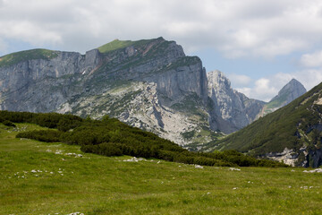 Fototapeta premium Exploring the scenic vistas of Zireinersee lake area in Tyrol, Austria, where majestic mountains rise above lush green meadows under a partly cloudy sky
