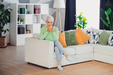Mature Woman Relaxing on Comfortable Couch in a Stylish Living Room with Modern Decor and Cozy...