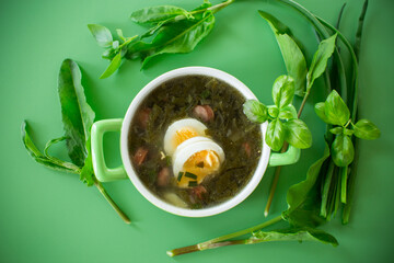 Top view of a plate of green borscht with egg and sorrel on a green background