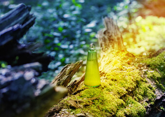 magican potion in glass bottle in summer forest