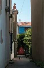 Maisons color&eacute;es dans le village de Trentemoult