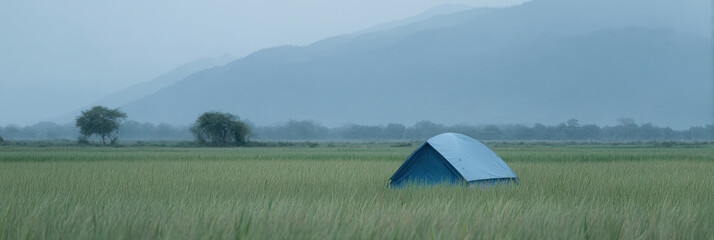 Blue tent in serene rice field with misty mountains in background
