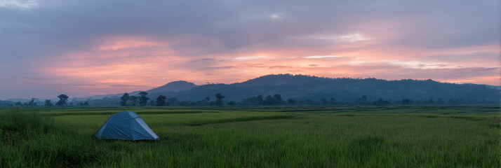 Tent set up in serene rice field at sunset with mountains in background