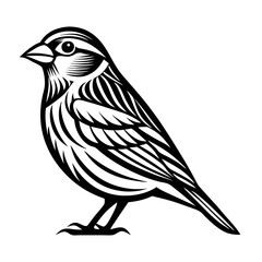 Fototapeta premium bird vector illustration