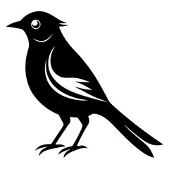  bird vector illustration