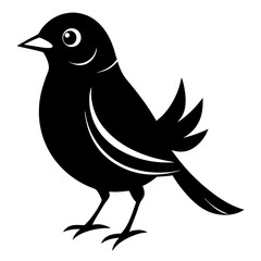  bird vector illustration