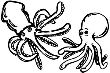 Two distinct black and white illustrations of marine cephalopods: a detailed cuttlefish or squid on the left, and a smaller, more simplified octopus on the right. Ideal for educational or ocean-themed